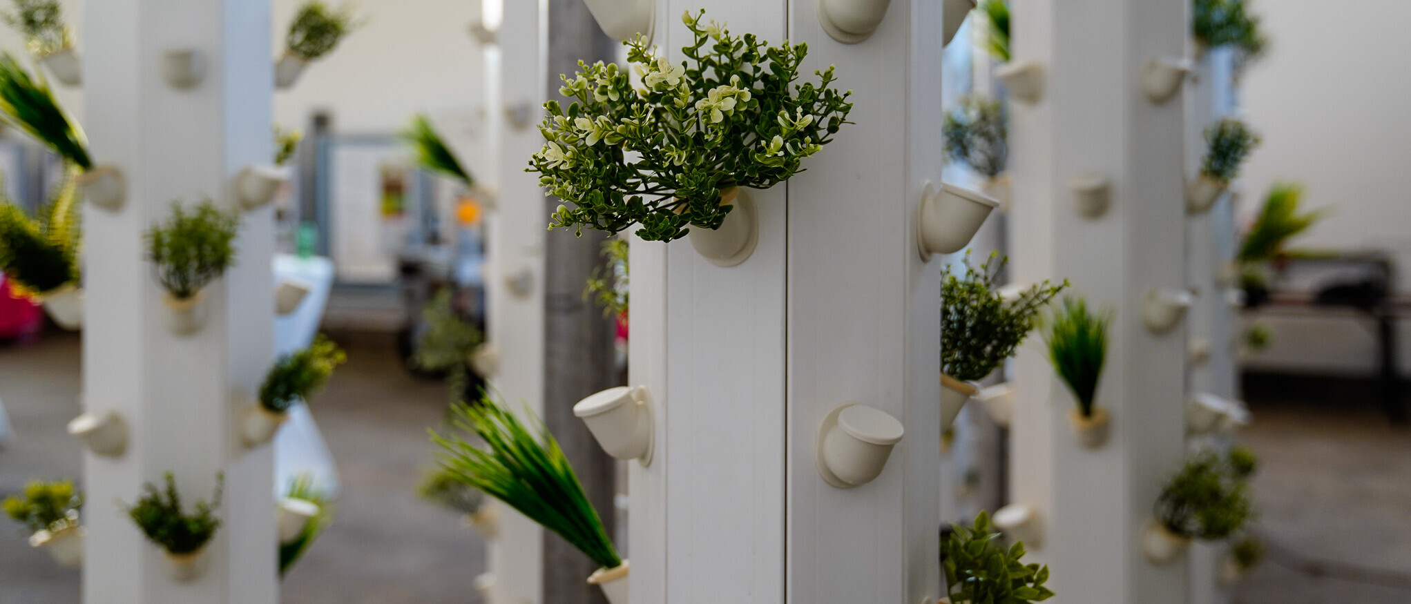 Vertical-Farming-Anlage.