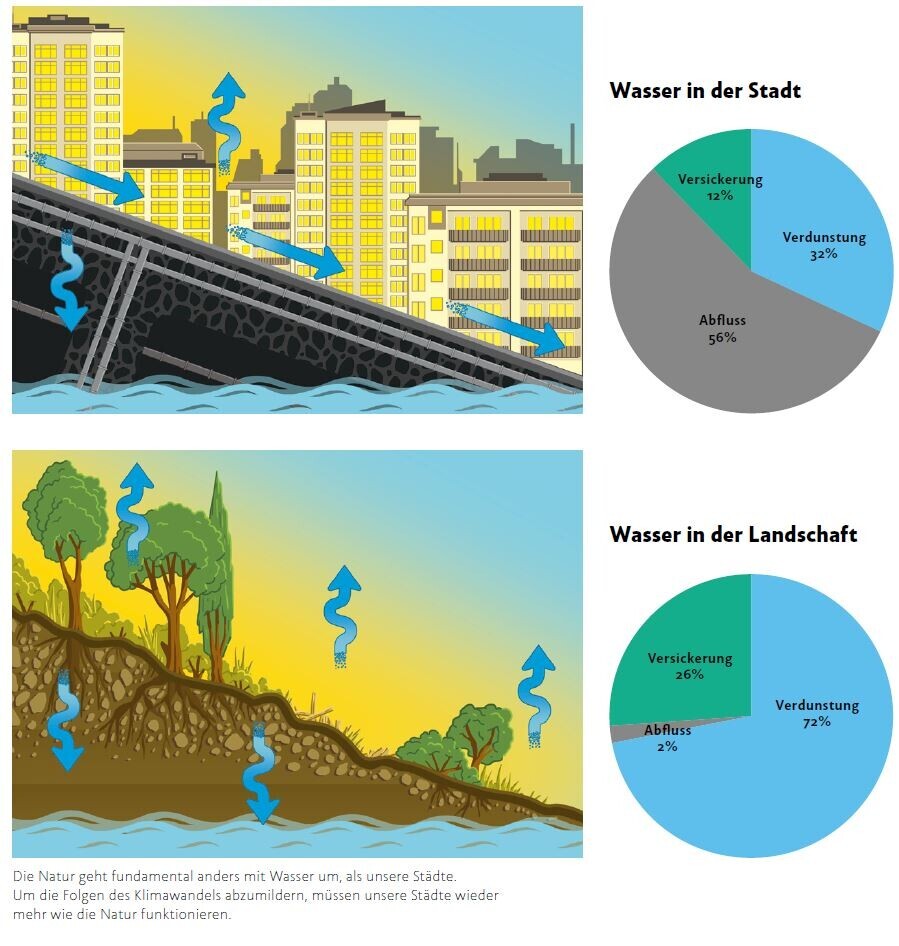 Wasserhaushalt in der Stadt im Vergleich zur Landschaft