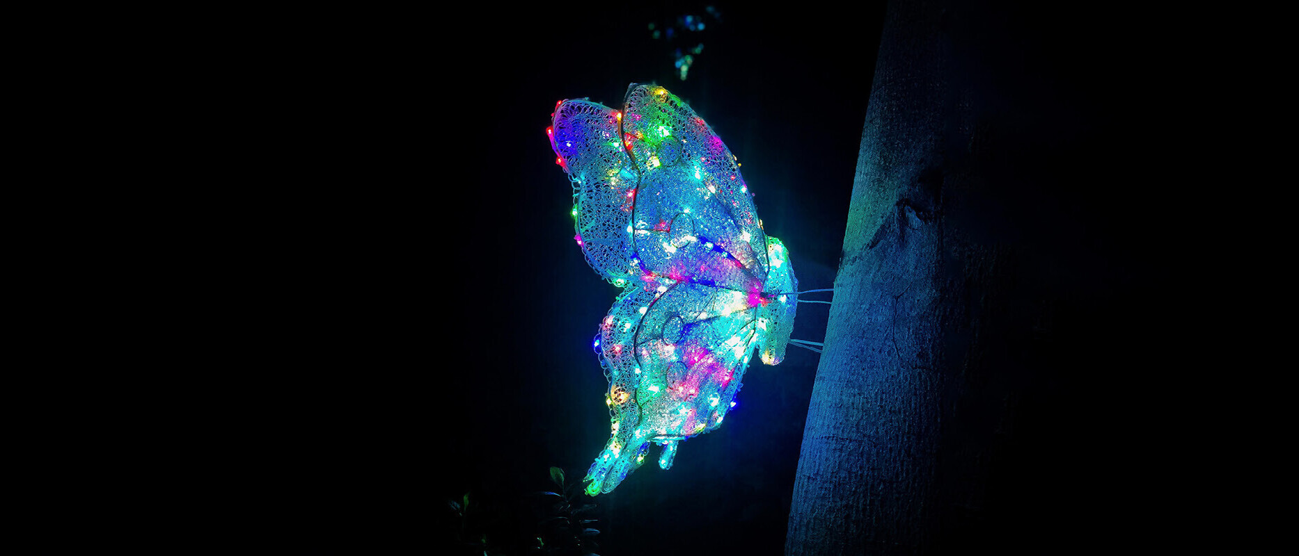 Ein leuchtender Schmetterling vor schwarzem Hintergrund. Das Logo des Age Innovation Prize.