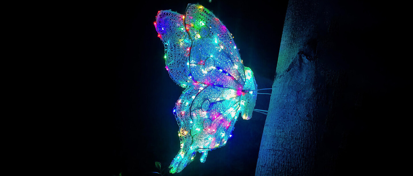 Ein leuchtender Schmetterling vor schwarzem Hintergrund. Das Logo des Age Innovation Prize.