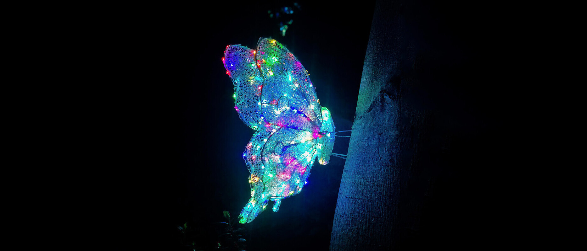 Ein leuchtender Schmetterling vor schwarzem Hintergrund. Das Logo des Age Innovation Prize.