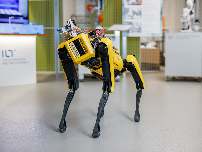 Begegnung mit einem Roboterhund