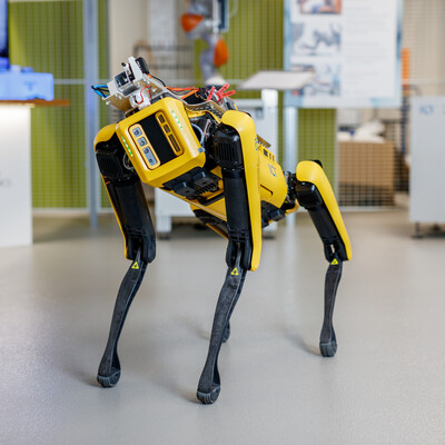Begegnung mit einem Roboterhund