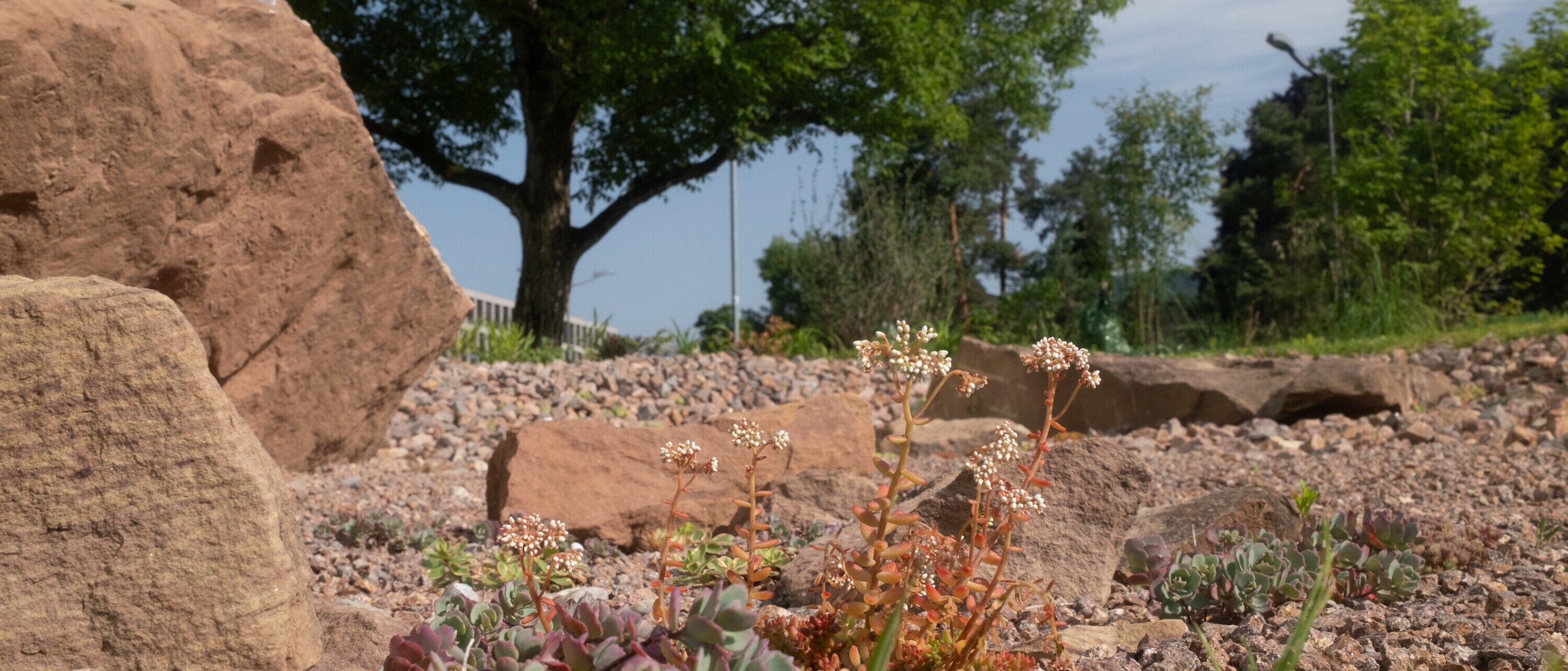 Von Studierendenden der Landschaftsarchitektur an der OST geschaffene Marslandschaft (Foto: Sven Sari-Schnyder)