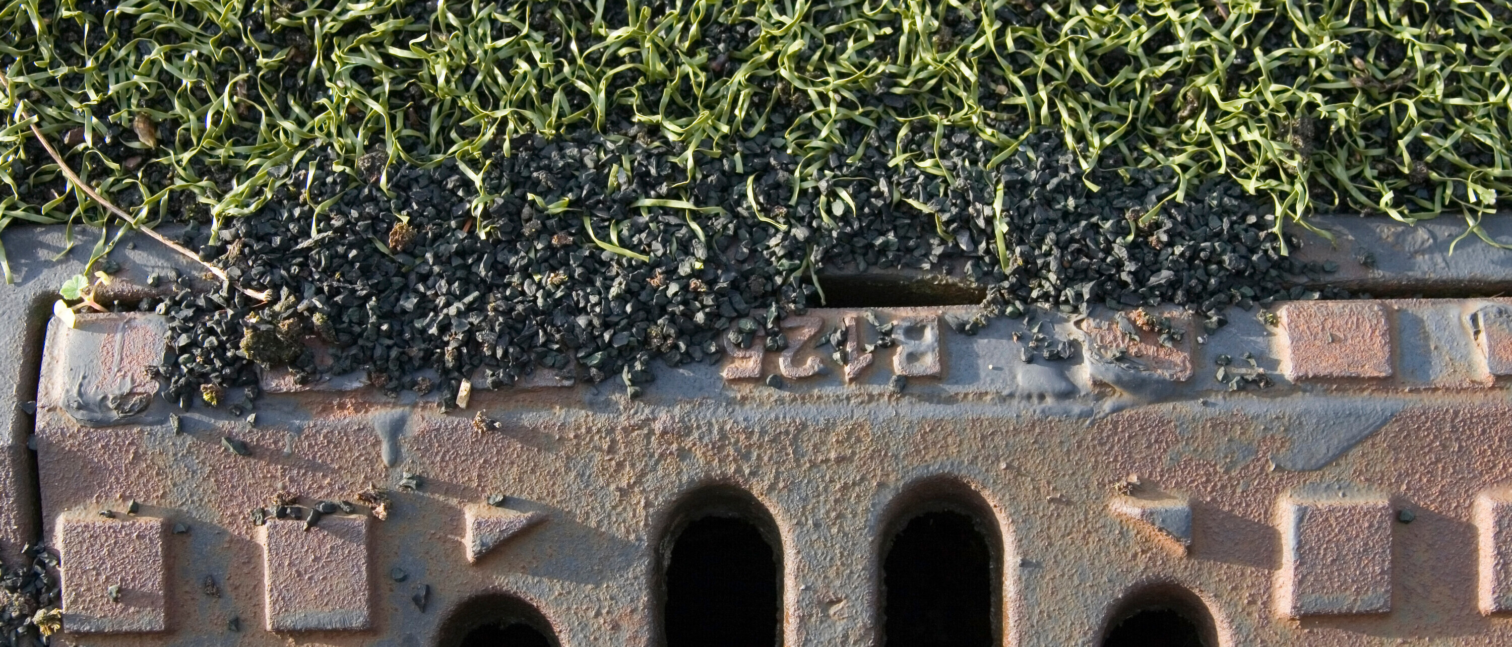 Mikroplastik im Kunstrasen 2 Kunstrasen und Mikroplastik: Solche Plätze sind Standard in der Schweiz, doch sie können die Umwelt belasten.