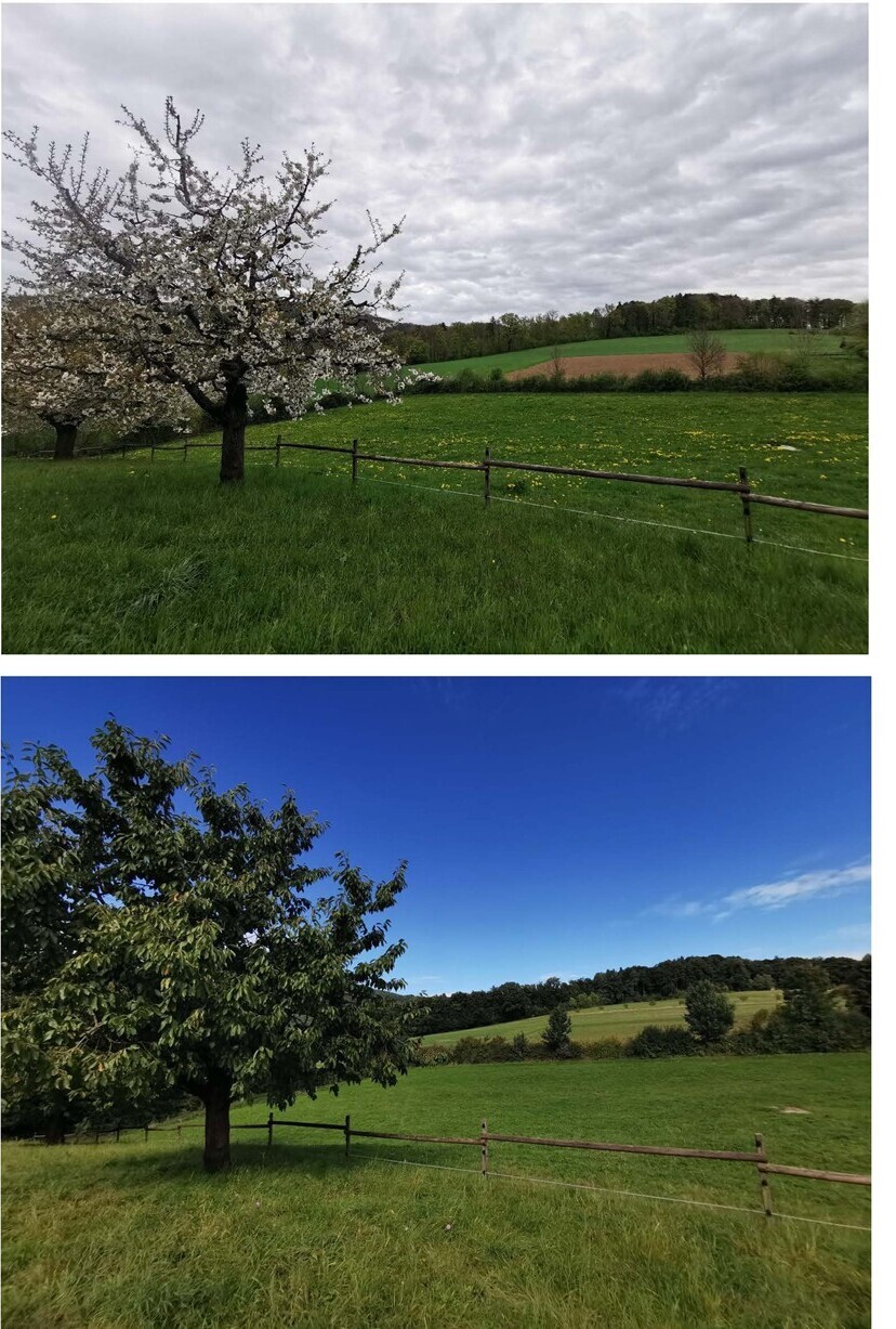 Fotodokumentation Landschaftsmonitoring: Für die Nulllinie wurden die Jahreszeiten dokumentiert.