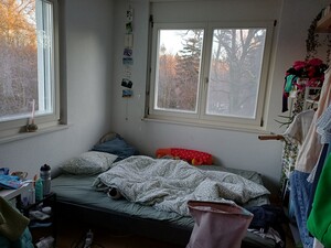 WG Bild 4