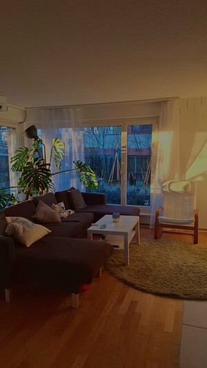 WG Bild 4
