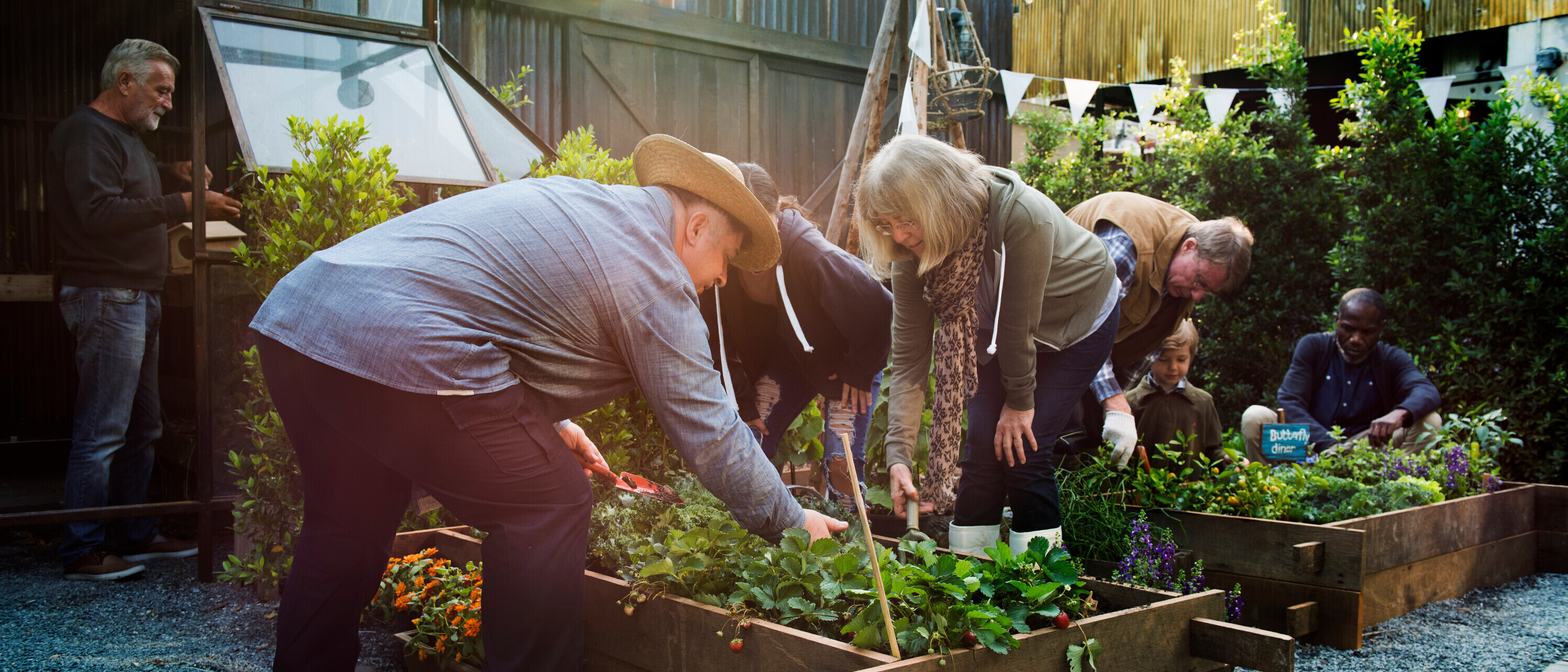 Group of people planting vegetable in greenhouse Group gardening