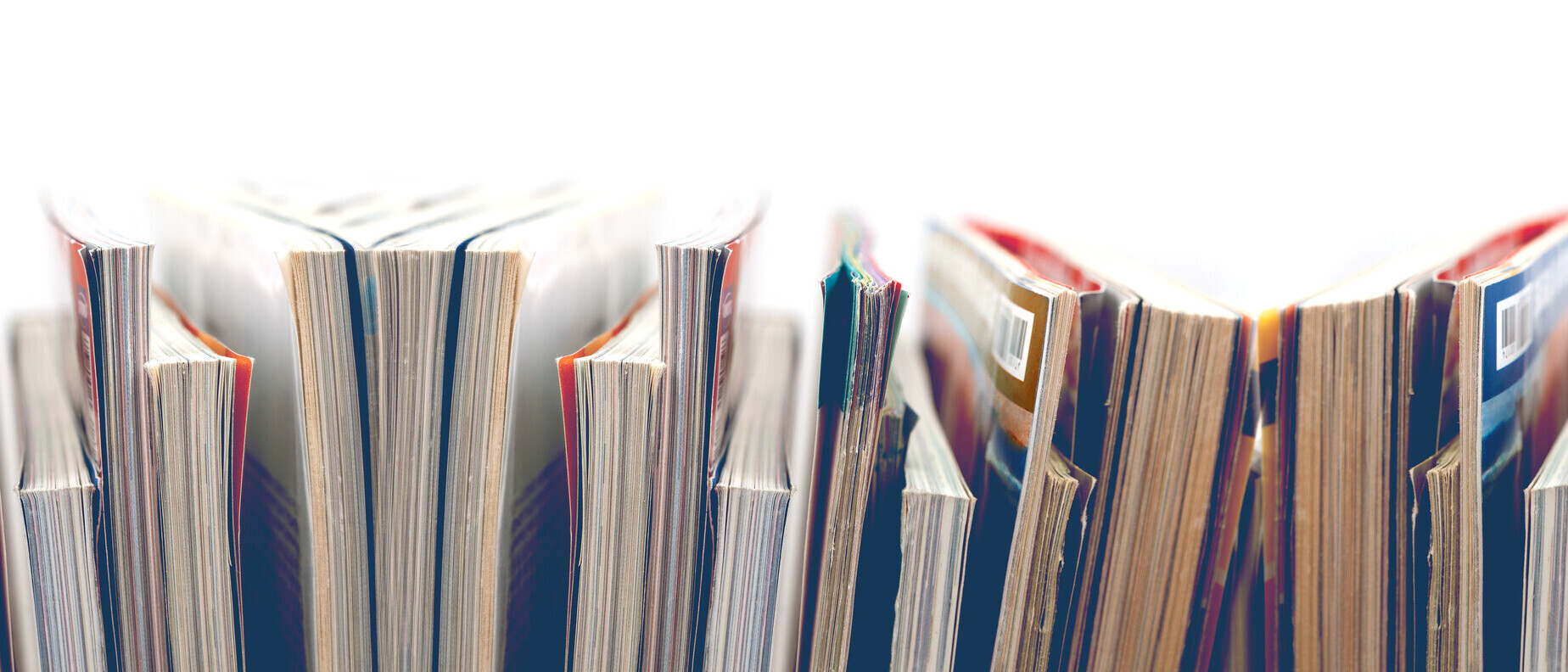 Revistas y libros