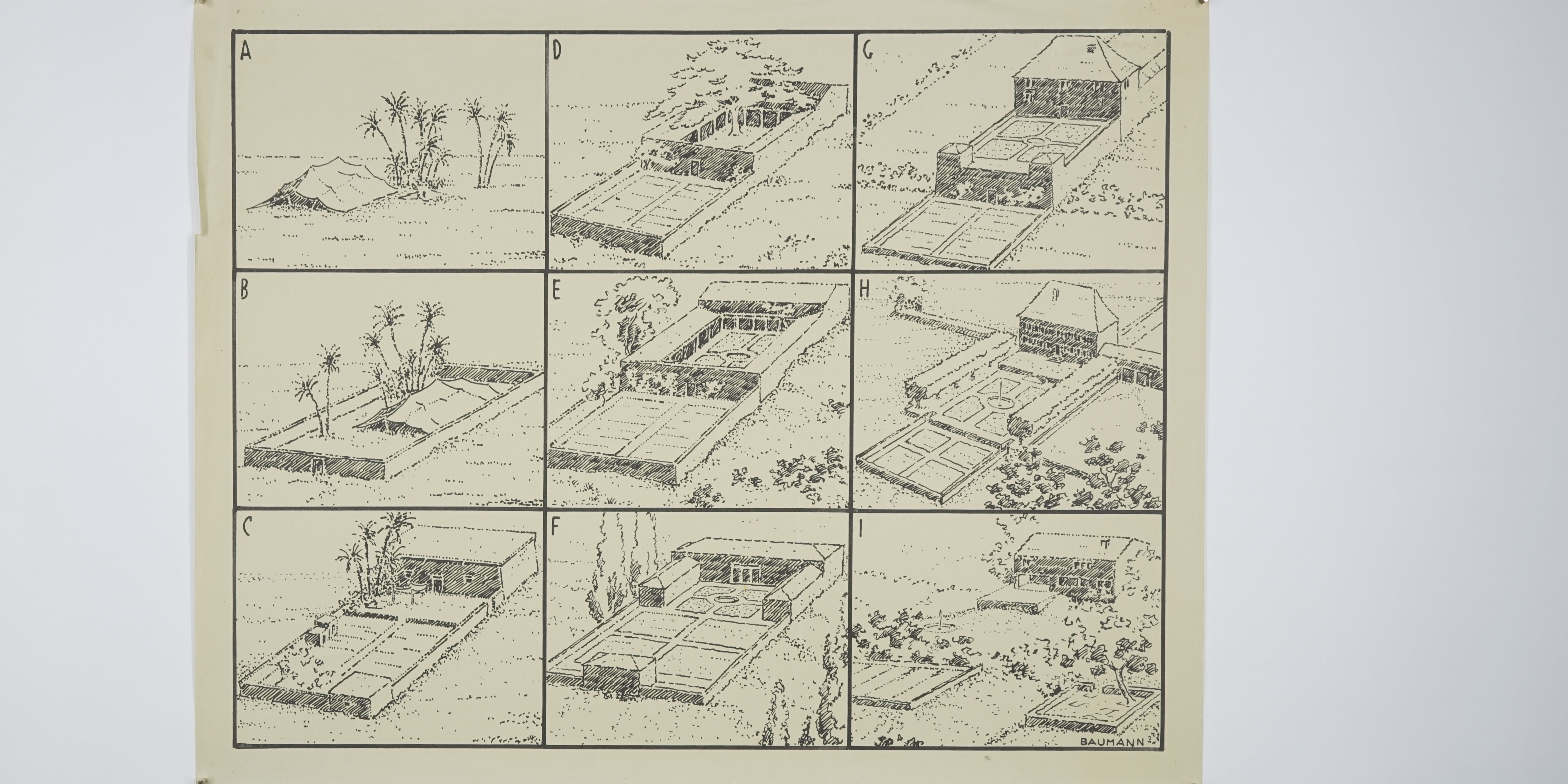 Albert Baumann - Lehrtafel Gartenbauschule Oeschberg - undatiert