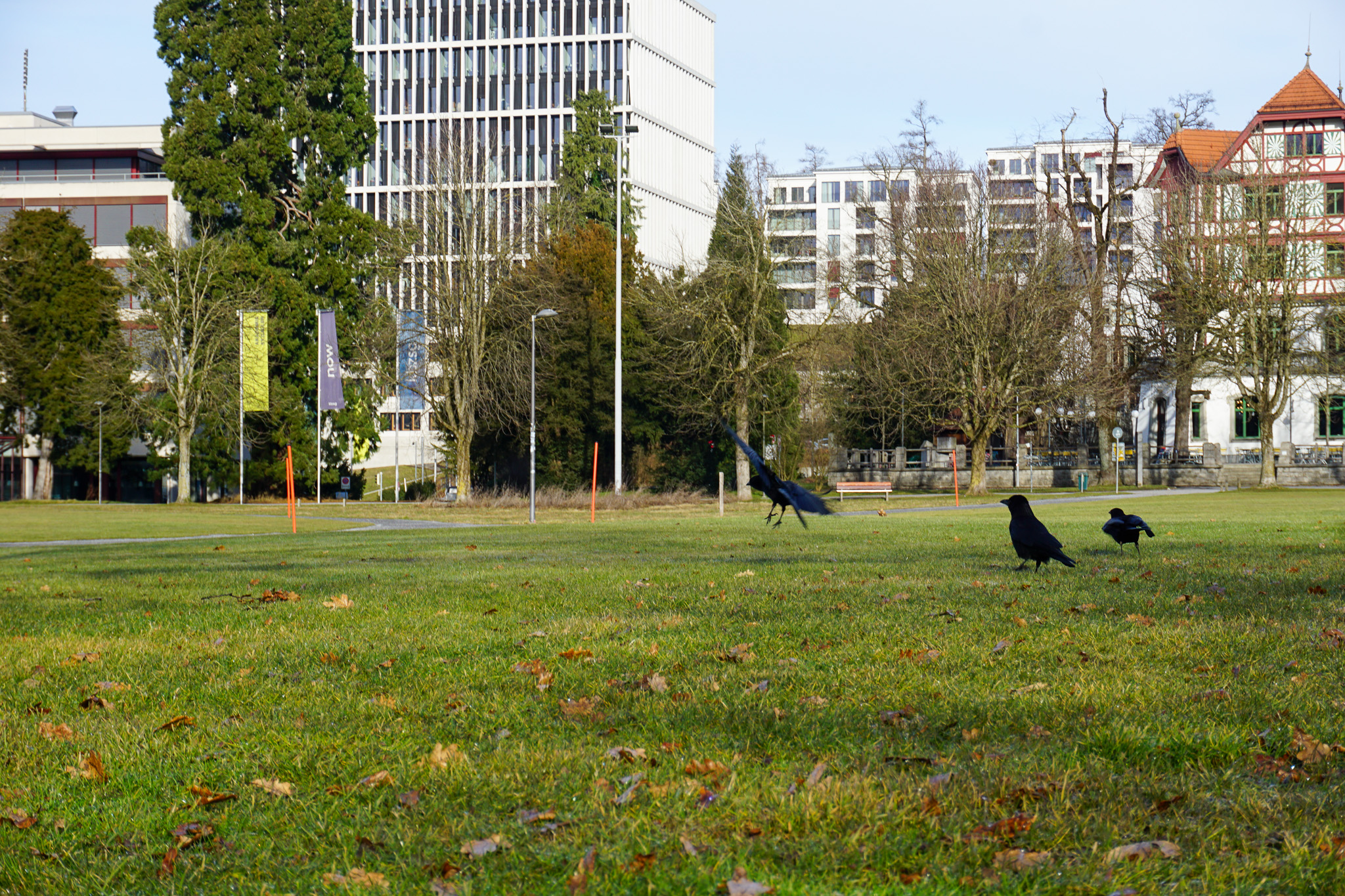 konflikt-im-gr-nen-naturschutz-versus-denkmalpflege-ost