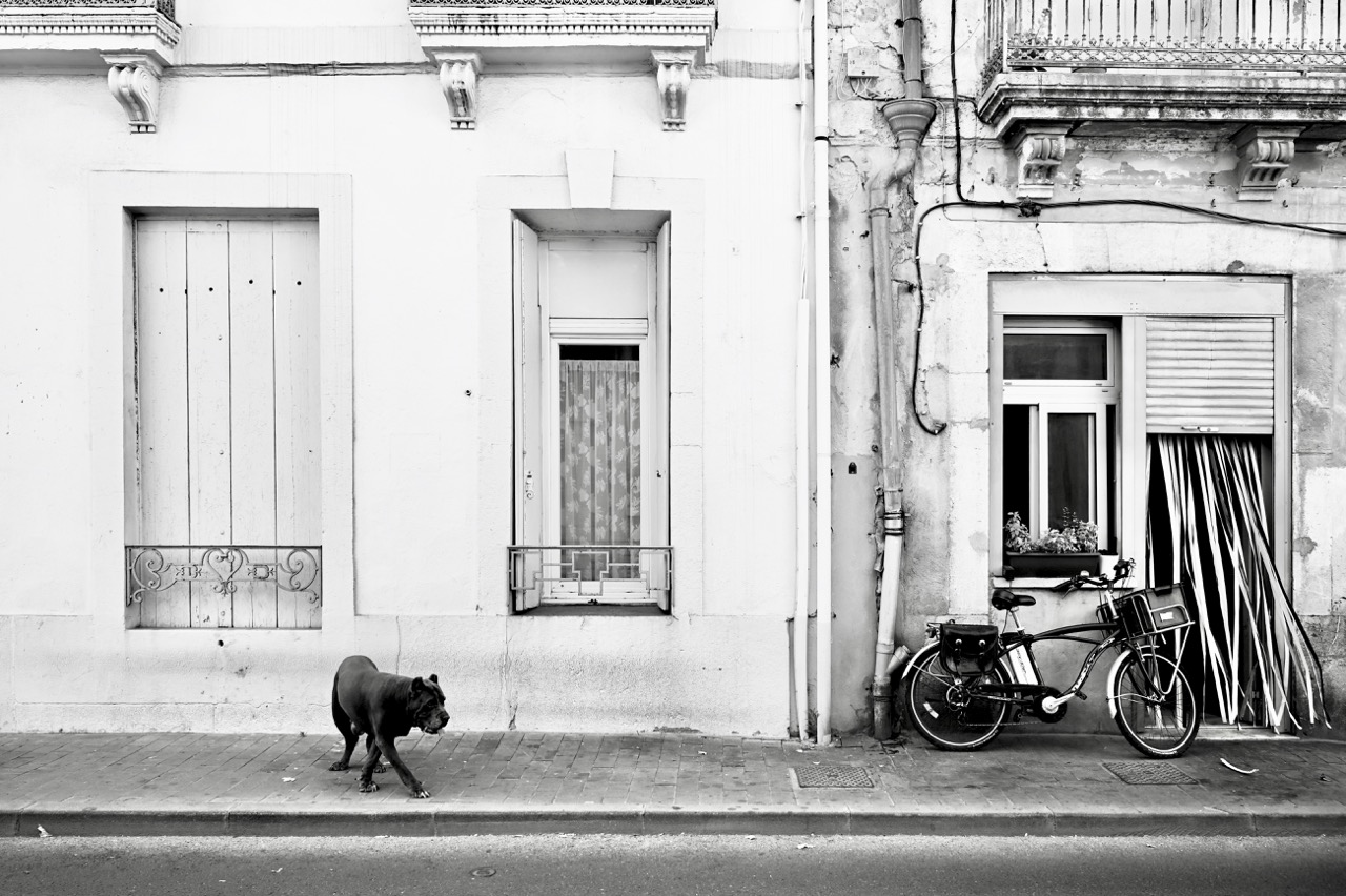 Foto: Virginie Vabre