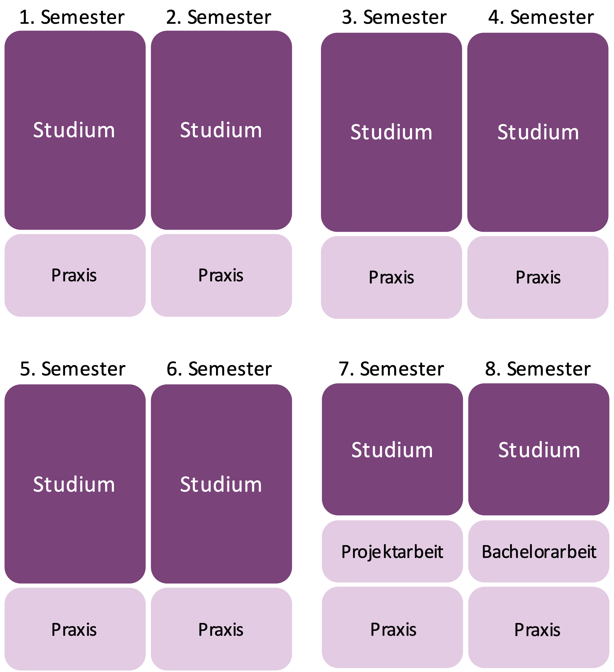 PiBS Modell 1 – Studienbegleitendes Praktikum
